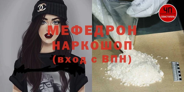 шишки Бородино